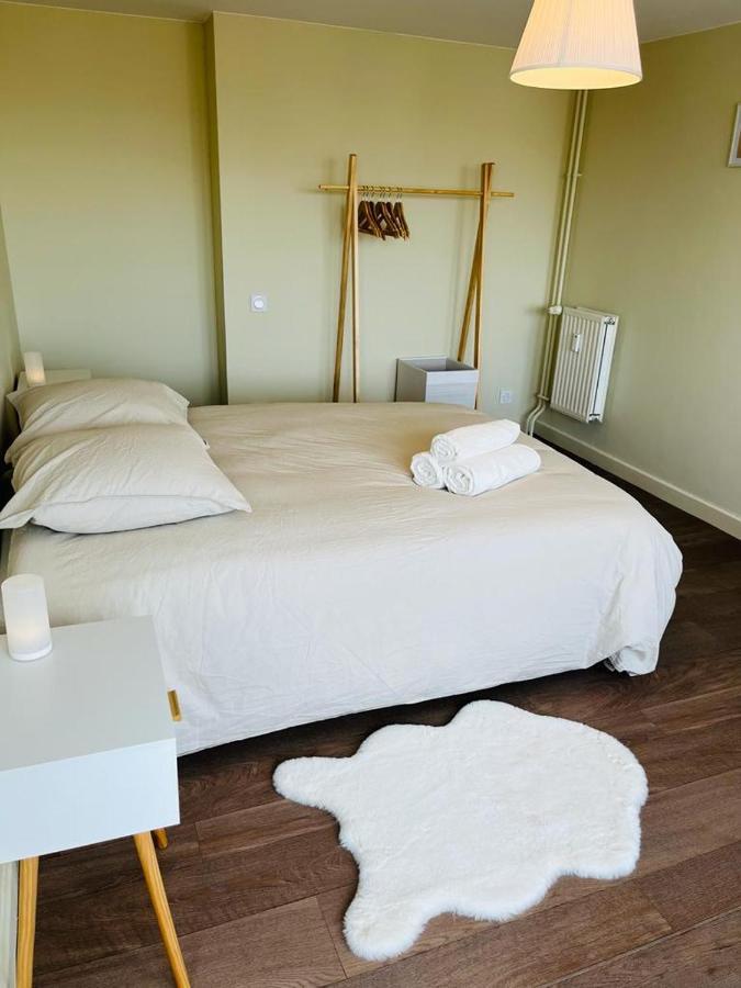 Espace 500 - Cosy, Wifi & Vue Sur La Ville Saint-Etienne  Buitenkant foto